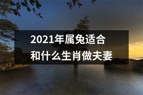 2025年属兔适合和什么生肖做夫妻