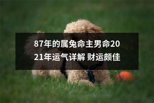 <h3>87年的属兔命主男命2025年运气详解财运颇佳