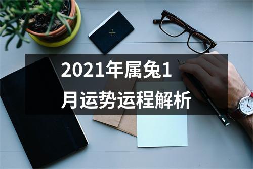 2025年属兔1月运势运程解析