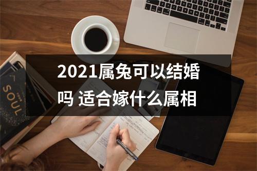 2025属兔可以结婚吗适合嫁什么属相