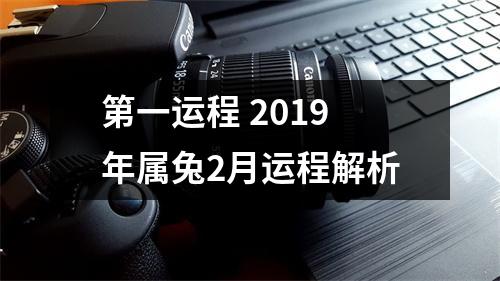 第一运程2019年属兔2月运程解析