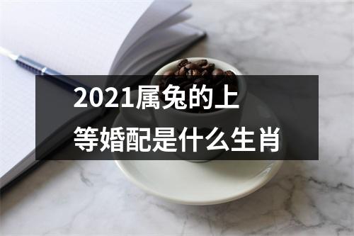 2025属兔的上等婚配是什么生肖