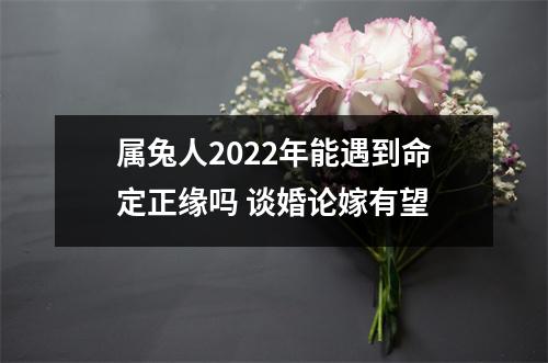 属兔人2025年能遇到命定正缘吗谈婚论嫁有望