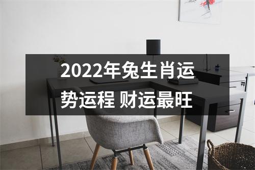 2025年兔生肖运势运程财运旺
