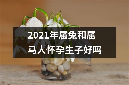 2025年属兔和属马人怀孕生子好吗