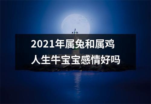 2025年属兔和属鸡人生牛宝宝感情好吗
