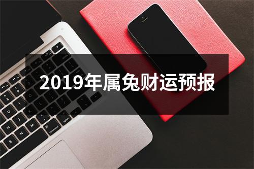 2019年属兔财运预报