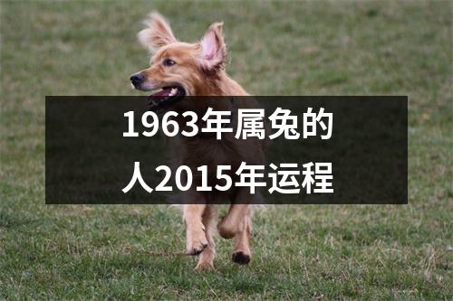 1963年属兔的人2015年运程