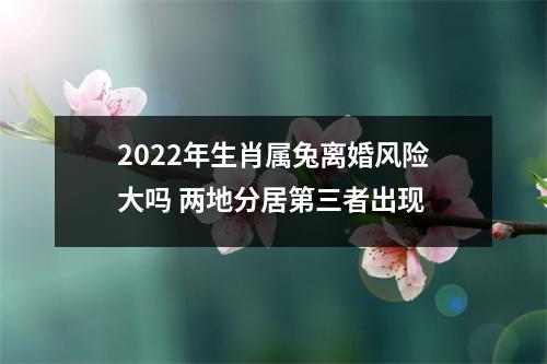 2025年生肖属兔离婚风险大吗两地分居第三者出现