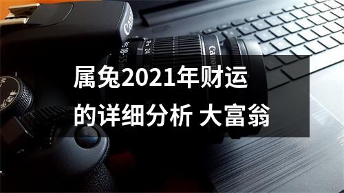 <h3>属兔2025年财运的详细分析大富翁