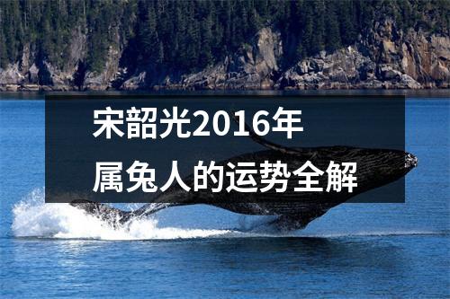 宋韶光2016年属兔人的运势全解