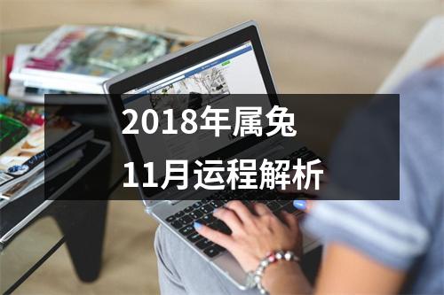 2018年属兔11月运程解析