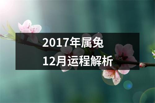 2017年属兔12月运程解析