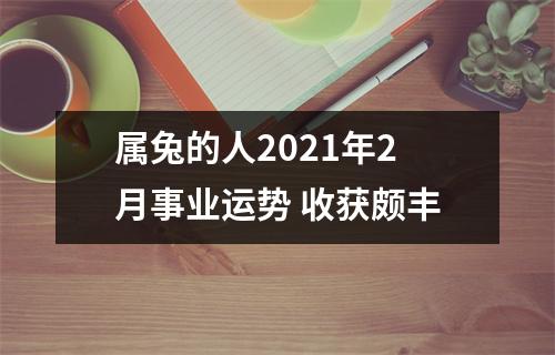 <h3>属兔的人2025年2月事业运势收获颇丰