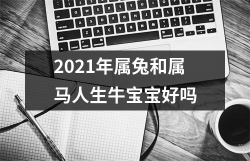 2025年属兔和属马人生牛宝宝好吗