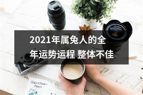 2025年属兔人的全年运势运程整体不佳