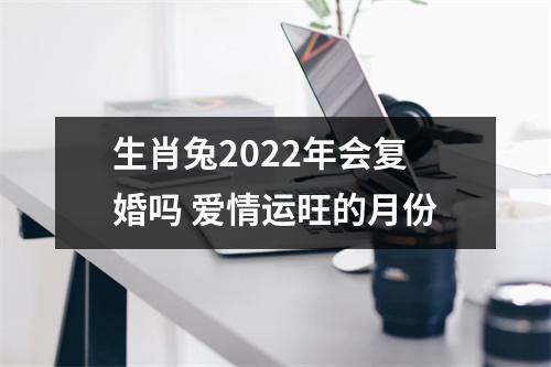 <h3>生肖兔2025年会复婚吗爱情运旺的月份