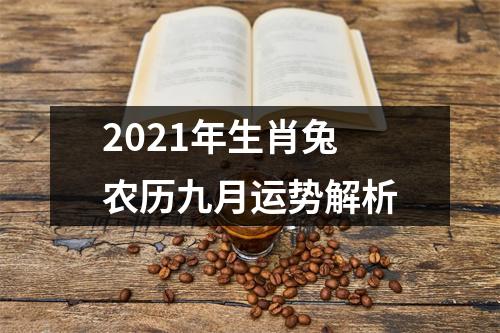 2025年生肖兔农历九月运势解析
