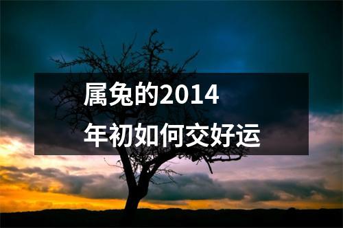属兔的2014年初如何交好运