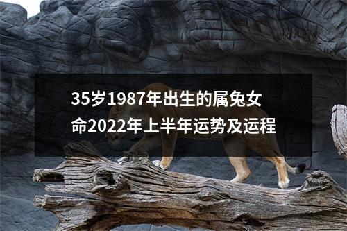 35岁1987年出生的属兔女命2025年上半年运势及运程
