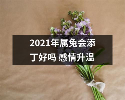 2025年属兔会添丁好吗感情升温