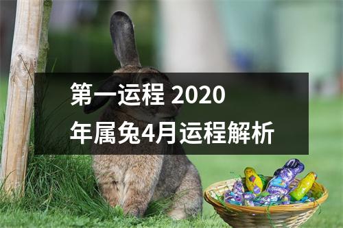 第一运程2025年属兔4月运程解析