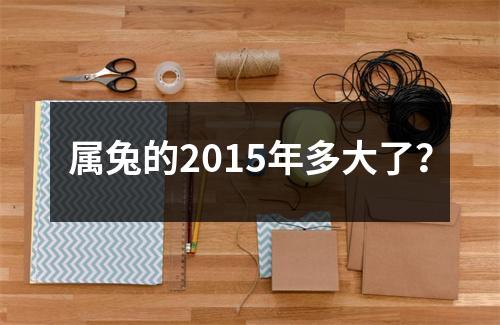 属兔的2015年多大了？