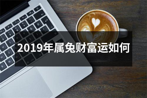 2019年属兔财富运如何