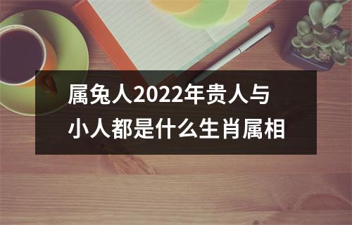 属兔人2025年贵人与小人都是什么生肖属相