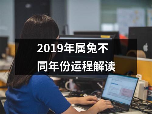 2019年属兔不同年份运程解读