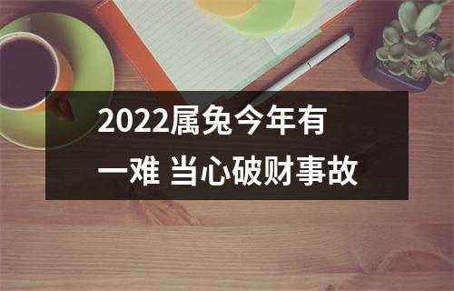 2025属兔今年有一难当心破财事故