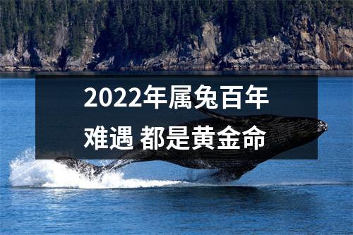 2025年属兔百年难遇都是黄金命