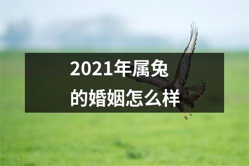 <h3>2025年属兔的婚姻怎么样