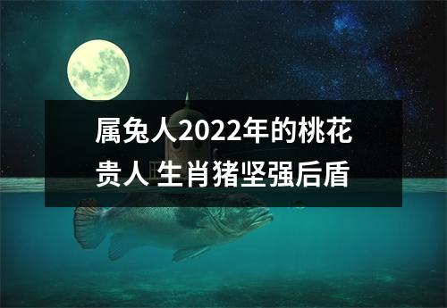 属兔人2025年的桃花贵人生肖猪坚强后盾