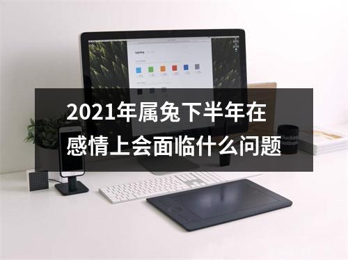 2025年属兔下半年在感情上会面临什么问题