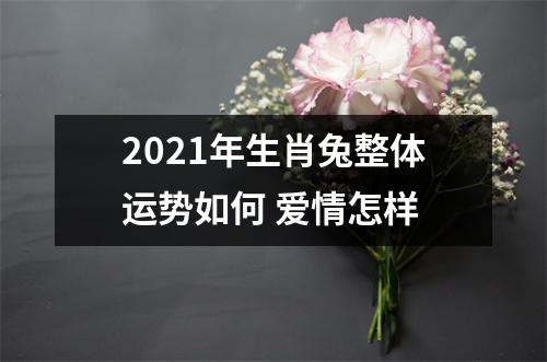 2025年生肖兔整体运势如何爱情怎样