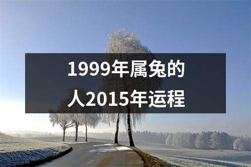 1999年属兔的人2015年运程