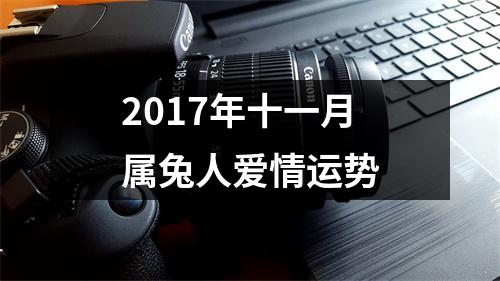 2017年十一月属兔人爱情运势