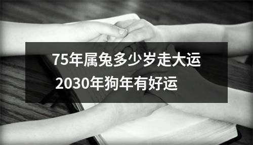 75年属兔多少岁走大运2030年狗年有好运