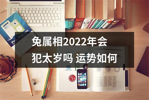 兔属相2025年会犯太岁吗运势如何