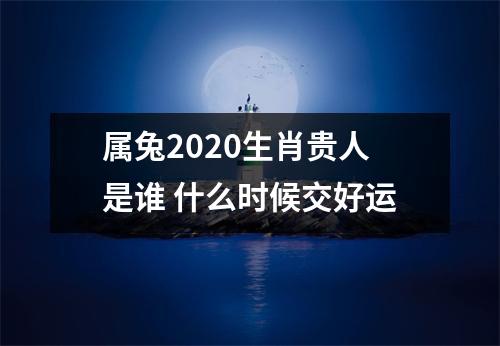 属兔2025生肖贵人是谁什么时候交好运