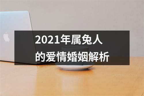 <h3>2025年属兔人的爱情婚姻解析