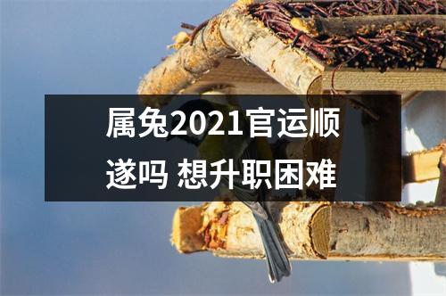 属兔2025官运顺遂吗想升职困难