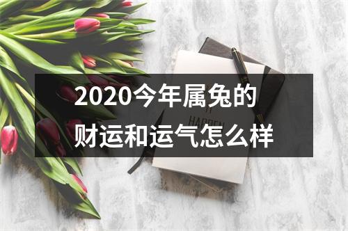 2025今年属兔的财运和运气怎么样