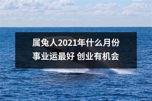 属兔人2025年什么月份事业运好创业有机会