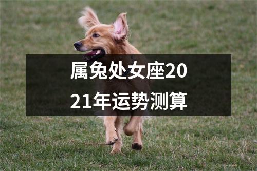 属兔处女座2025年运势测算