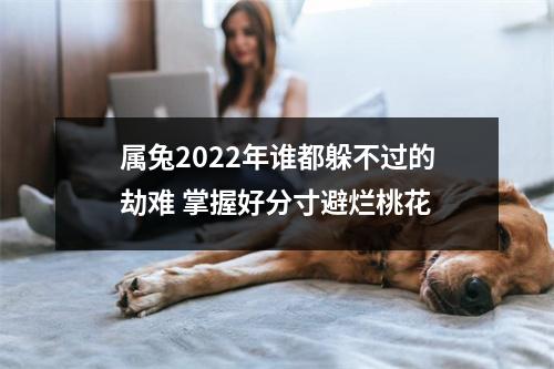 <h3>属兔2025年谁都躲不过的劫难掌握好分寸避烂桃花