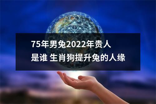 75年男兔2025年贵人是谁生肖狗提升兔的人缘