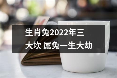 生肖兔2025年三大坎属兔一生大劫