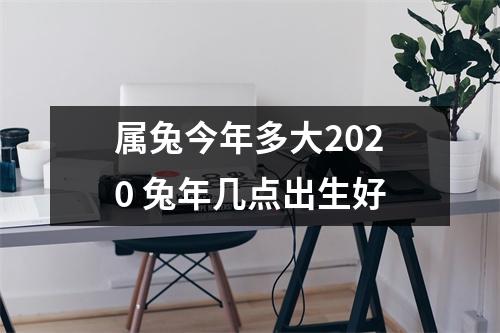 <h3>属兔今年多大2025兔年几点出生好